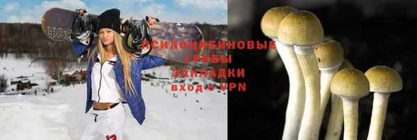 спиды Абинск