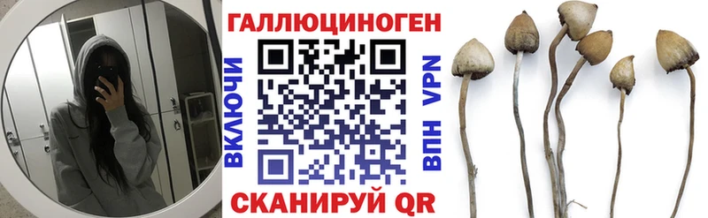 Галлюциногенные грибы мицелий  Берёзовка 